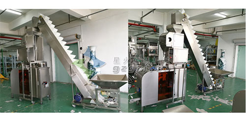 蘋(píng)果片給袋式顆粒稱重包裝機(jī)